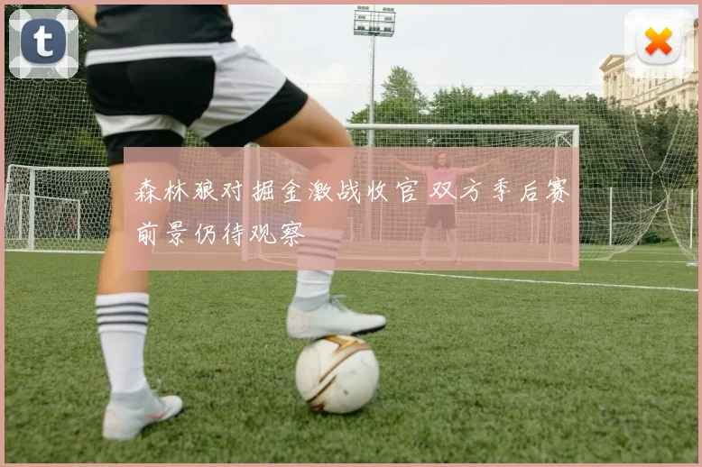 森林狼对掘金激战收官 双方季后赛前景仍待观察