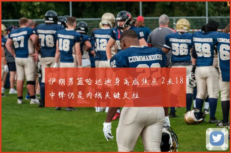 伊朗男篮哈达迪身高成焦点 2米18中锋仍是内线关键支柱