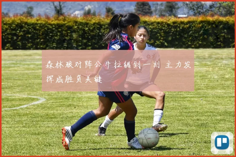 森林狼对阵公牛拉锯到一刻 主力发挥成胜负关键